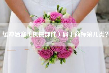 缓冲活塞(机械部件)属于商标第几类? 缓冲活塞(机械部件)属于商标第几类?