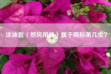 涂油匙(厨房用具)属于商标第几类? 涂油匙(厨房用具)属于商标第几类?