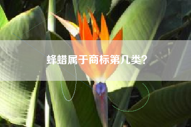 蜂蜡属于商标第几类? 蜂蜡属于商标第几类?