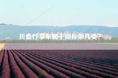 折叠行李车属于商标第几类? 折叠行李车属于商标第几类?