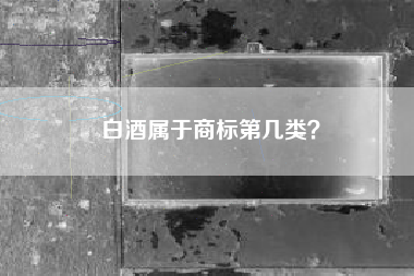 白酒属于商标第几类? 白酒属于商标第几类?