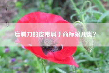 磨剃刀的皮带属于商标第几类? 磨剃刀的皮带属于商标第几类?