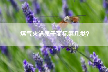 煤气火锅属于商标第几类? 煤气火锅属于商标第几类?