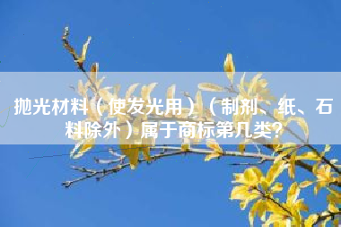 抛光材料(使发光用)(制剂、纸、石料除外)属于商标第几类? 抛光材料(使发光用)(制剂、纸、石料除外)属于商标第几类?