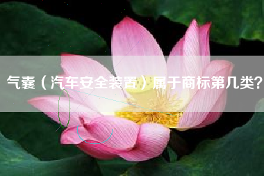 气囊(汽车安全装置)属于商标第几类? 气囊(汽车安全装置)属于商标第几类?