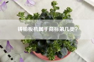 铸铅板机属于商标第几类? 铸铅板机属于商标第几类?