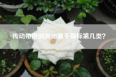 传动带用润滑油属于商标第几类? 传动带用润滑油属于商标第几类?