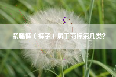 紧腿裤(裤子)属于商标第几类? 紧腿裤(裤子)属于商标第几类?