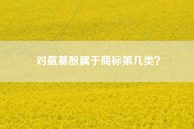 对氨基酚属于商标第几类? 对氨基酚属于商标第几类?