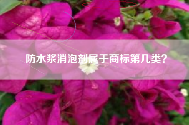 防水浆消泡剂属于商标第几类? 防水浆消泡剂属于商标第几类?