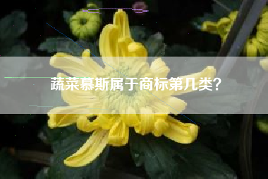 蔬菜慕斯属于商标第几类? 蔬菜慕斯属于商标第几类?