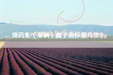 弹药车(车辆)属于商标第几类? 弹药车(车辆)属于商标第几类?