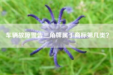 车辆故障警告三角牌属于商标第几类? 车辆故障警告三角牌属于商标第几类?