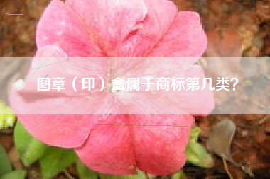 图章(印)盒属于商标第几类? 图章(印)盒属于商标第几类?