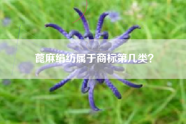 蓖麻绢纺属于商标第几类? 蓖麻绢纺属于商标第几类?