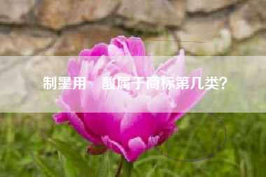 制墨用棓酸属于商标第几类? 制墨用棓酸属于商标第几类?