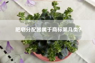 肥皂分配器属于商标第几类? 肥皂分配器属于商标第几类?