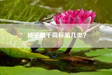 被子属于商标第几类? 被子属于商标第几类?