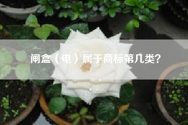 闸盒(电)属于商标第几类? 闸盒(电)属于商标第几类?