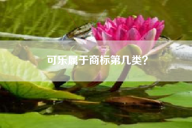 可乐属于商标第几类? 可乐属于商标第几类?