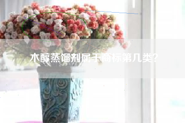 木醇蒸馏剂属于商标第几类? 木醇蒸馏剂属于商标第几类?