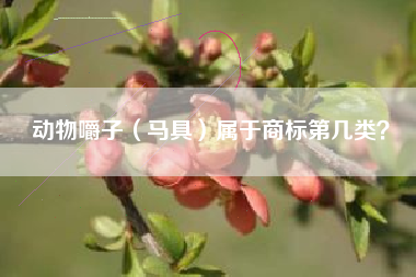 动物嚼子(马具)属于商标第几类? 动物嚼子(马具)属于商标第几类?