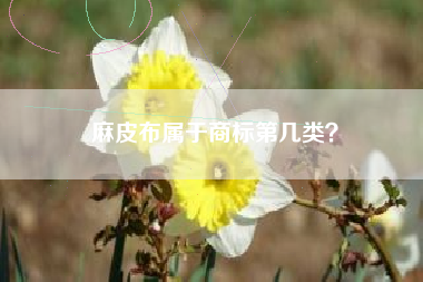 麻皮布属于商标第几类? 麻皮布属于商标第几类?