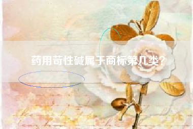 药用苛性碱属于商标第几类? 药用苛性碱属于商标第几类?