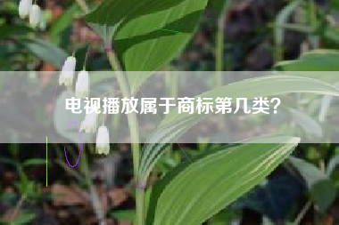 电视播放属于商标第几类? 电视播放属于商标第几类?