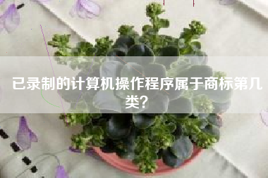 已录制的计算机操作程序属于商标第几类? 已录制的计算机操作程序属于商标第几类?