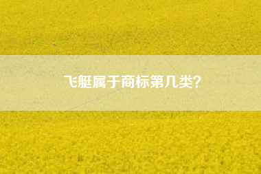 飞艇属于商标第几类? 飞艇属于商标第几类?