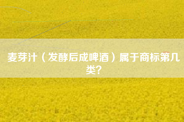 麦芽汁(发酵后成啤酒)属于商标第几类? 麦芽汁(发酵后成啤酒)属于商标第几类?