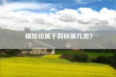 硝酸铵属于商标第几类? 硝酸铵属于商标第几类?