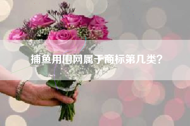 捕鱼用围网属于商标第几类? 捕鱼用围网属于商标第几类?