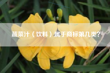 蔬菜汁(饮料)属于商标第几类? 蔬菜汁(饮料)属于商标第几类?