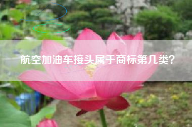 航空加油车接头属于商标第几类? 航空加油车接头属于商标第几类?