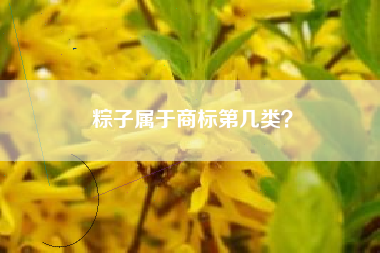 粽子属于商标第几类? 粽子属于商标第几类?