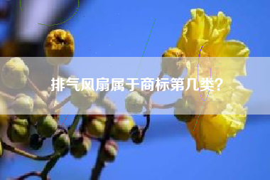 排气风扇属于商标第几类? 排气风扇属于商标第几类?