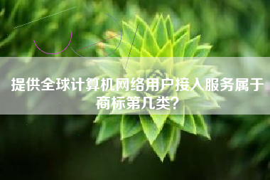 提供全球计算机网络用户接入服务属于商标第几类? 提供全球计算机网络用户接入服务属于商标第几类?
