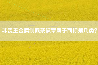 非贵重金属制佩戴徽章属于商标第几类? 非贵重金属制佩戴徽章属于商标第几类?