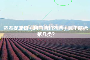 蒸煮提取物(利口酒和烈酒)属于商标第几类? 蒸煮提取物(利口酒和烈酒)属于商标第几类?