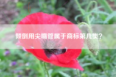 倾倒用尖嘴管属于商标第几类? 倾倒用尖嘴管属于商标第几类?