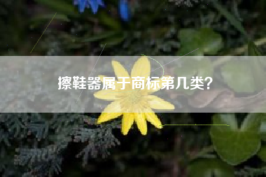 擦鞋器属于商标第几类? 擦鞋器属于商标第几类?