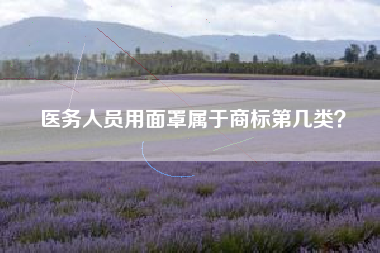 医务人员用面罩属于商标第几类? 医务人员用面罩属于商标第几类?