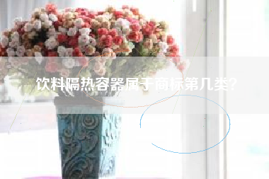 饮料隔热容器属于商标第几类? 饮料隔热容器属于商标第几类?