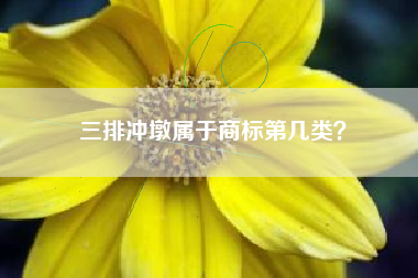 三排冲墩属于商标第几类? 三排冲墩属于商标第几类?