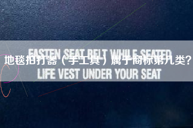 地毯拍打器(手工具)属于商标第几类? 地毯拍打器(手工具)属于商标第几类?