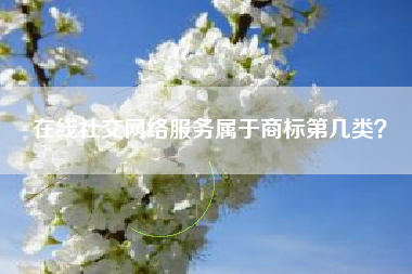 在线社交网络服务属于商标第几类? 在线社交网络服务属于商标第几类?