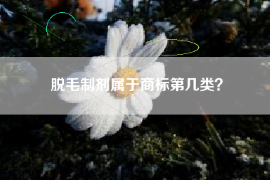 脱毛制剂属于商标第几类? 脱毛制剂属于商标第几类?