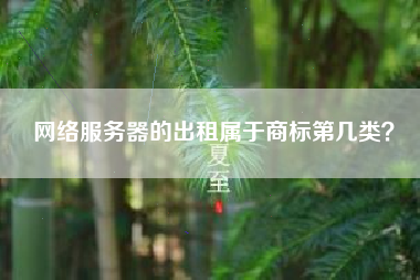 网络服务器的出租属于商标第几类? 网络服务器的出租属于商标第几类?